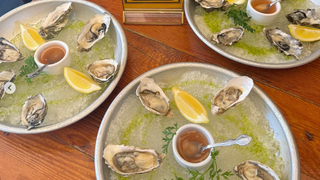 OYSTERS for Happy Hour! photo