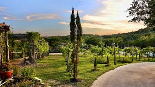 Cigar Night Among The Vines photo