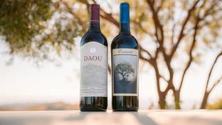 DAOU Winery x Gino Miles Dinner photo