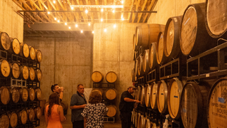 写真（Stem Ciders Tour + Keep Your Glass Event (May'25)）