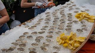 Black Lamb Oyster Party with ICO & Social Wines photo