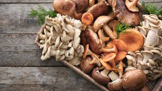 Wild Mushroom Dinner photo