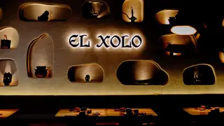 Une photo du restaurant El Xolo