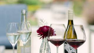 Garden Wine Tasting Experience (6 Wines) photo