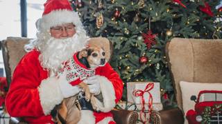 Breakfast with Santa photo