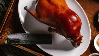 Mott 32 Duck Experience張相片