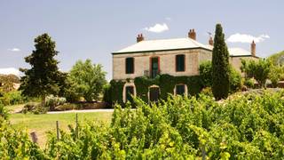 DINNER with Jane Ferrari of Jim Barry Wines photo