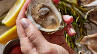 Oysters 101 with Gary McCready photo