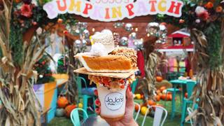 Pumpkin Patch Pop Up! photo