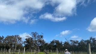 Carlton Wine Room and Pyren Vineyard photo