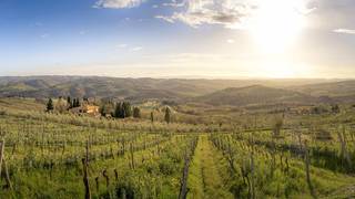 A one way ticket to Chianti with Gaglione wines photo