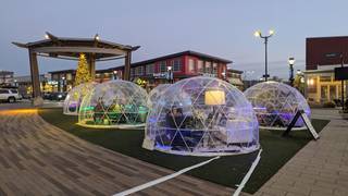 Igloo Garden on the Green - Dinner photo