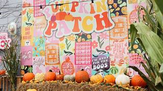 Halloween Weekend at JoJo's Pumpkin Patch photo