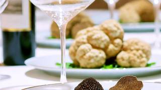 Truffle Wine Dinner featuring Bodegas Vega Sicilia photo