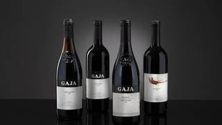 Gaja & White Truffles photo