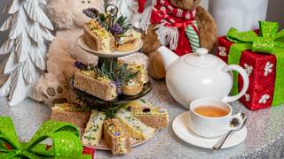 Teddy Bear Tea photo