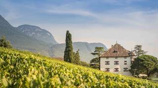 Wine&Dine mit dem Südtiroler Weingut Elena Walch photo