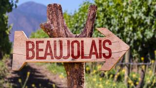 Wine Tasting: The Styles of Beaujolais photo