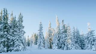 Bergzauber Menü an den Weihnachtsfeiertagen photo