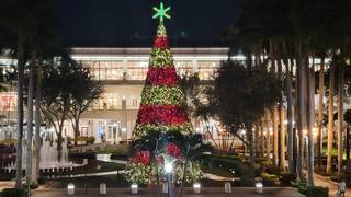 Merrick Park Tree Lighting - Outdoor Seating photo