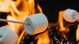 Activitée S'mores / S'mores activity photo