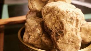 White Truffle Dinner - The Bar Stools at Alo photo