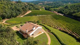 Civico Wine School; Sardegna II photo