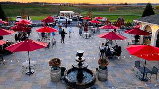 Vineyard Vibes with Pat Anderson photo