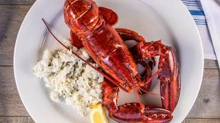 Wednesday Live Maine Lobster photo