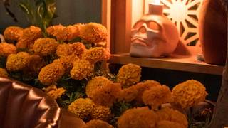 CENA DE ÁNIMAS - DÍA DE MUERTOS photo