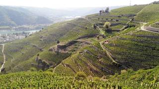 Rhone Valley Wine Dinner with E. Giugal photo