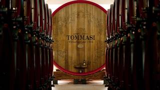 Tommasi Family Estates Pairing Dinner photo