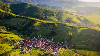 The Wines of Alsace photo