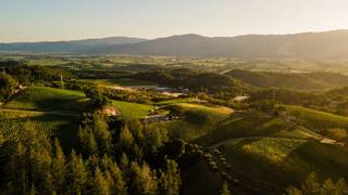 Merryvale Vineyards - Napa Valley - Wine Tasting photo