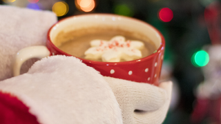 Children’s Afternoon Tea with Santa photo