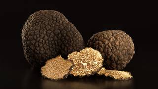 Truffle Season photo