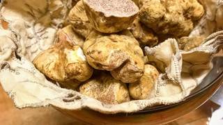 WHITE TRUFFLE EXPERIENCE photo