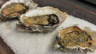 Oysters and Champagne photo