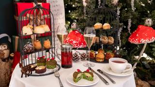 Christmas in the Woods Afternoon Tea photo