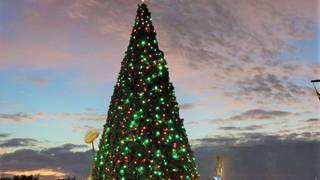 Balcony Seats for Downtown Tree Lighting Ceremony! photo