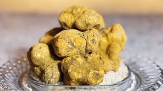 White Truffle Dinner at Che Fico Parco Menlo photo