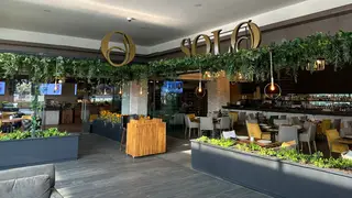 Foto von Solo Cafe - Guadalajara Restaurant