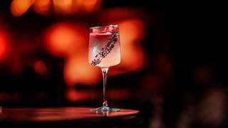 Cocktail & Culinary Experience with Our Bartender foto
