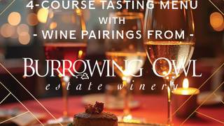 NYE "Burrowing Owl" Wine Dinner at The Den photo