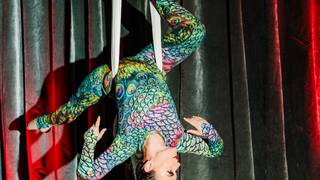 The Elegant Aerialist: Bottle Service Experience photo