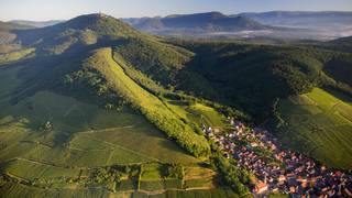 Wines of the World Series 1 - Vive La France! photo