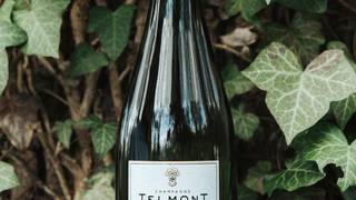 Telmont Champagne Wine Dinner Foto