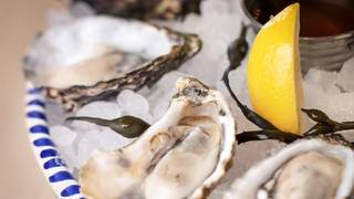 $1.50 Oyster Tuesdays張相片