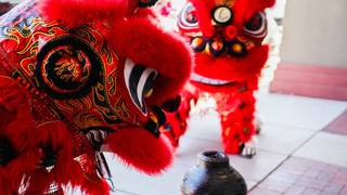 Lunar New Year Celebrations foto