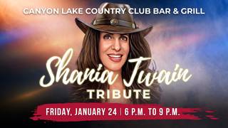 Shania Twain Tribute "Shaniagain" photo